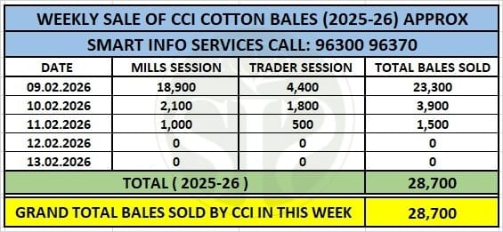 સાપ્તાહિક હરાજીમાં 28,700 ગાંસડીનું વેચાણ