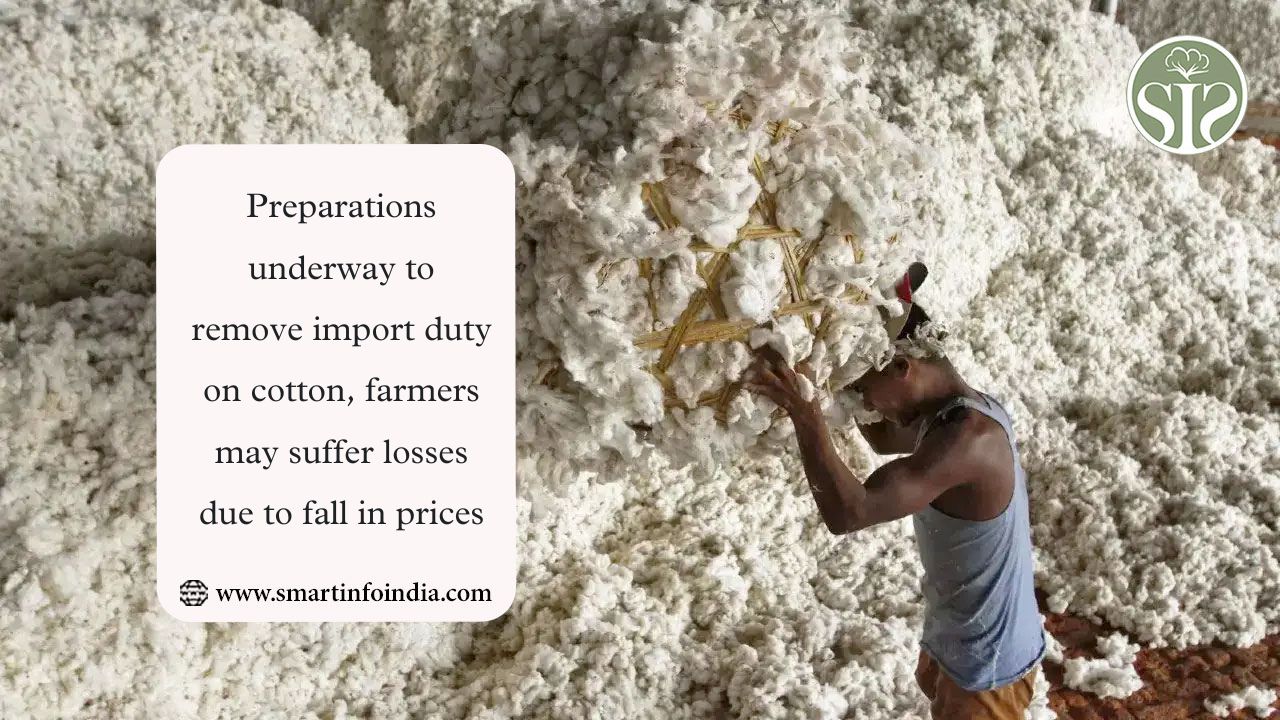 Preparations underway to remove import duty on cotton, farmers may suffer losses due to fall in prices