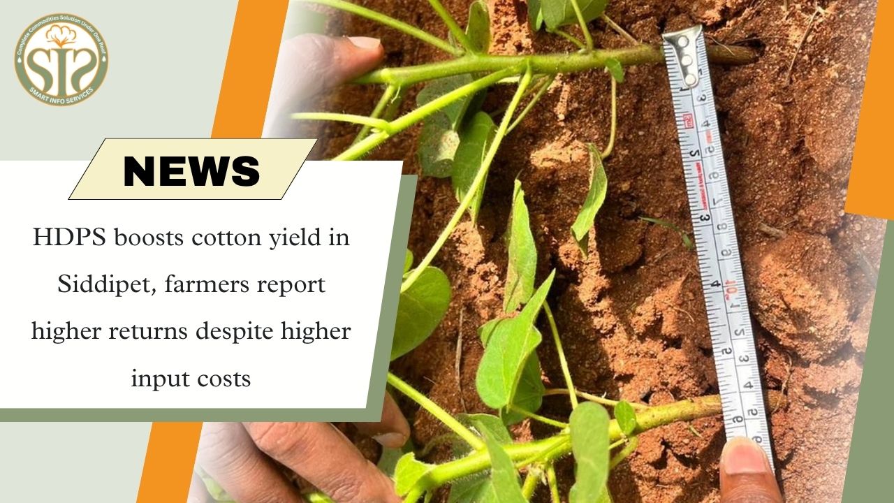 HDPS in Siddipet boosts cotton production