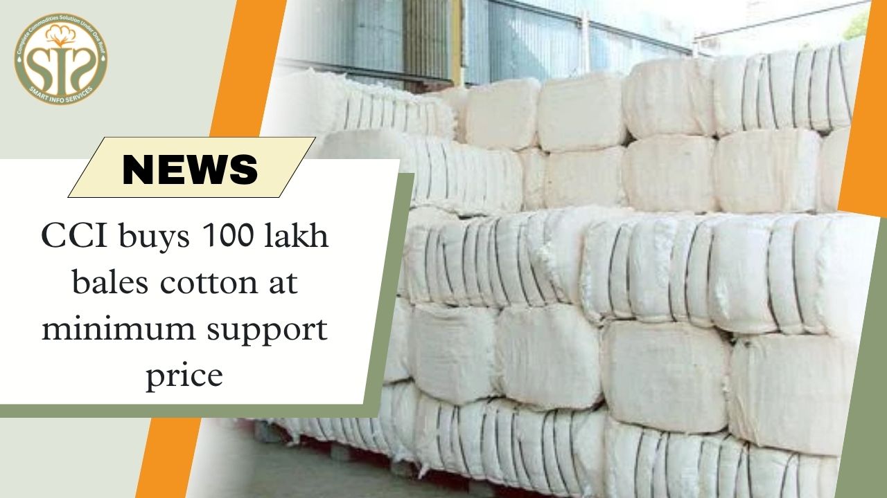 CCI buys 100 lakh bales cotton at minimum support price
