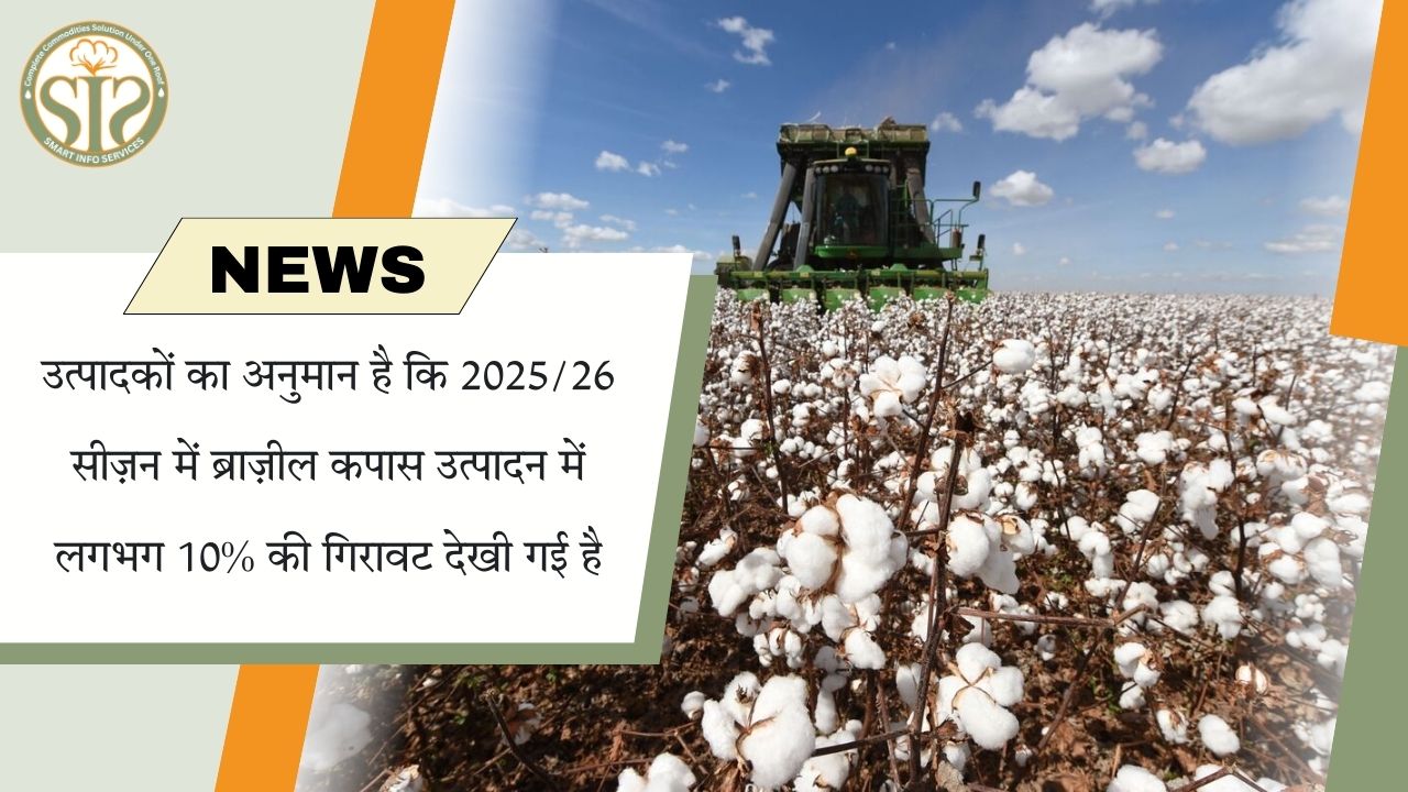 2025/26 में ब्राज़ील के कपास उत्पादन में 10% गिरावट का अनुमान