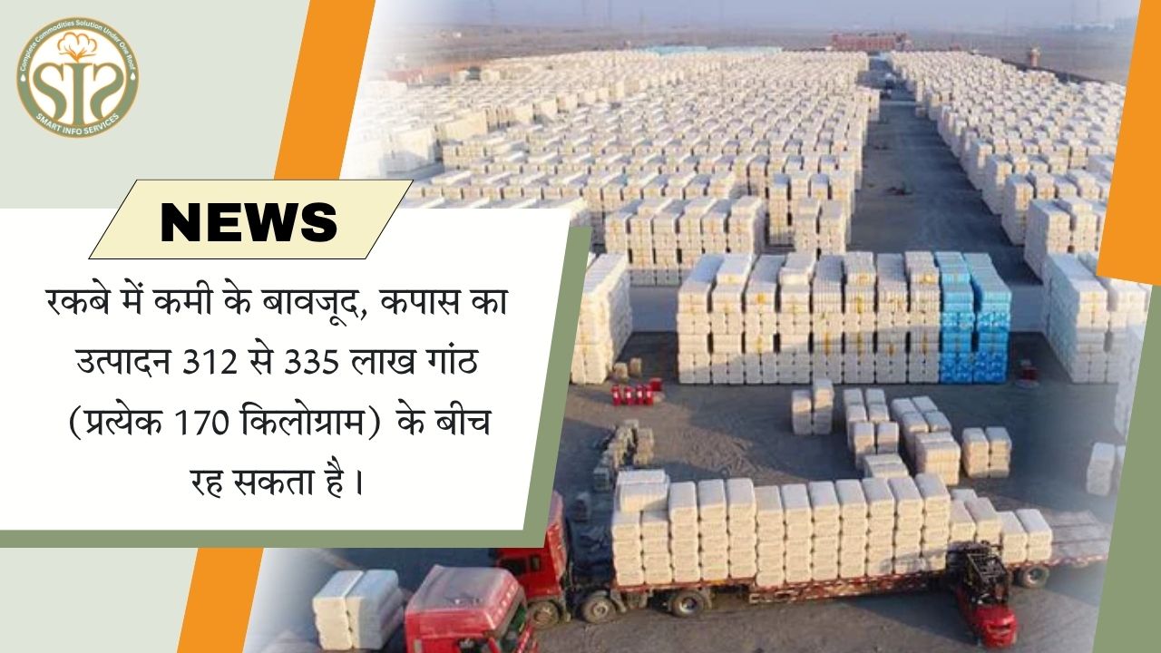 कमी के बावजूद कपास उत्पादन 312-335 लाख गांठ संभव