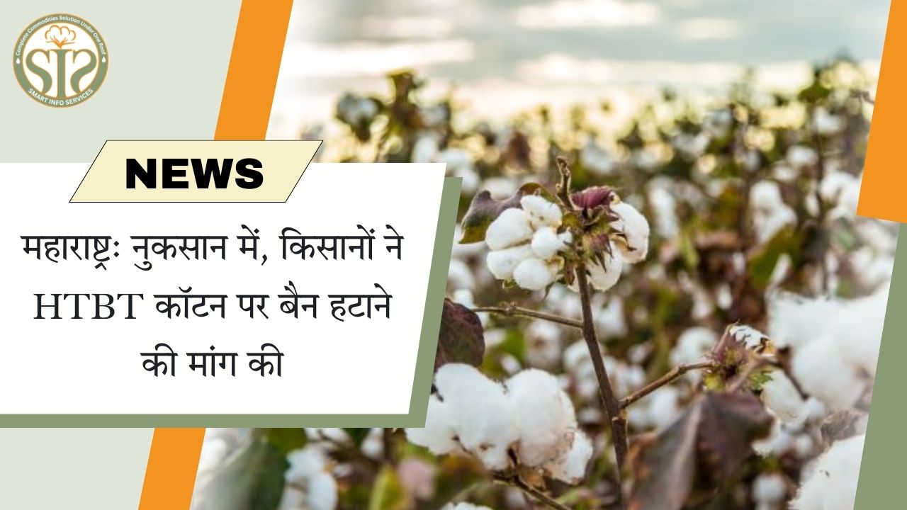 महाराष्ट्र में किसानों की HTBT कपास पर से बैन हटाने की मांग