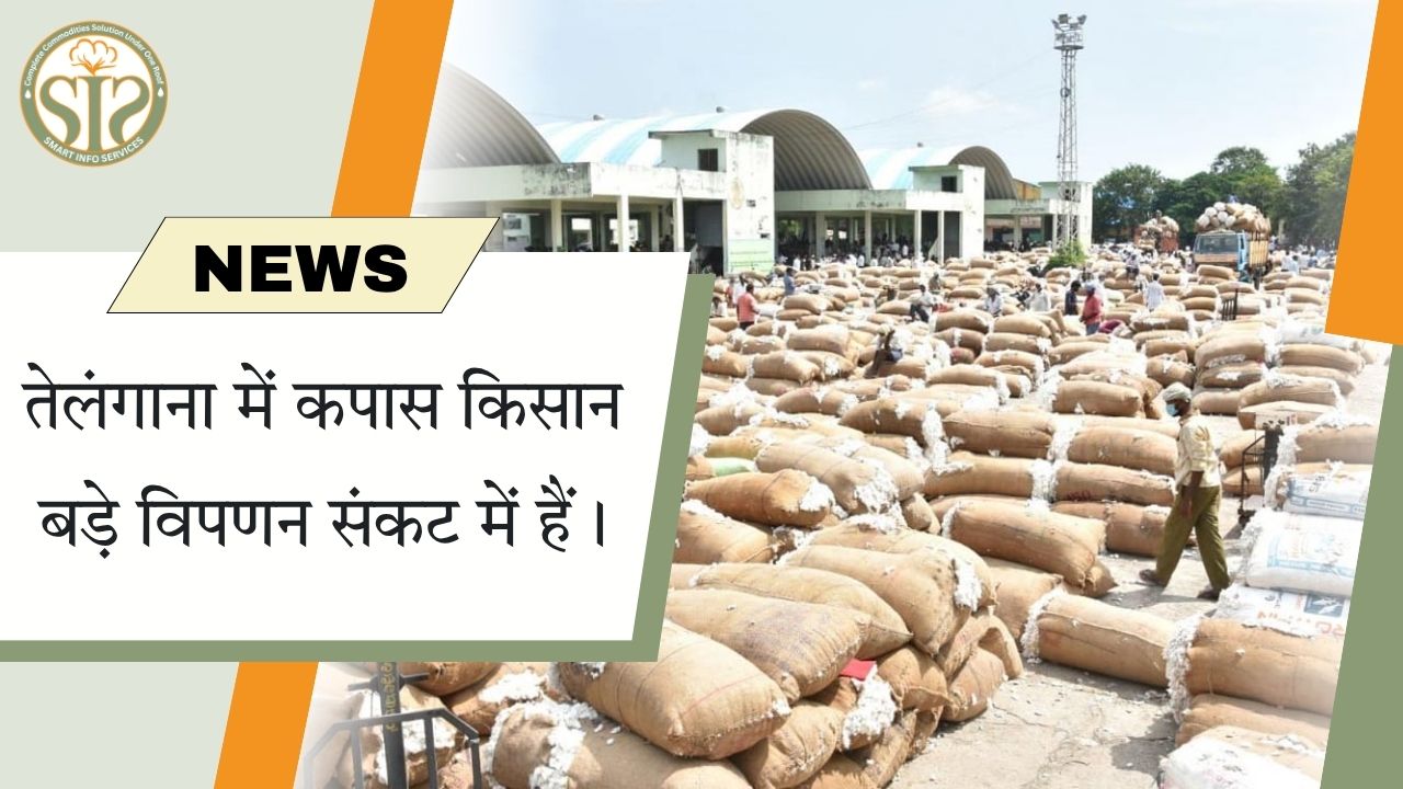 तेलंगाना में कपास किसानों का विपणन संकट