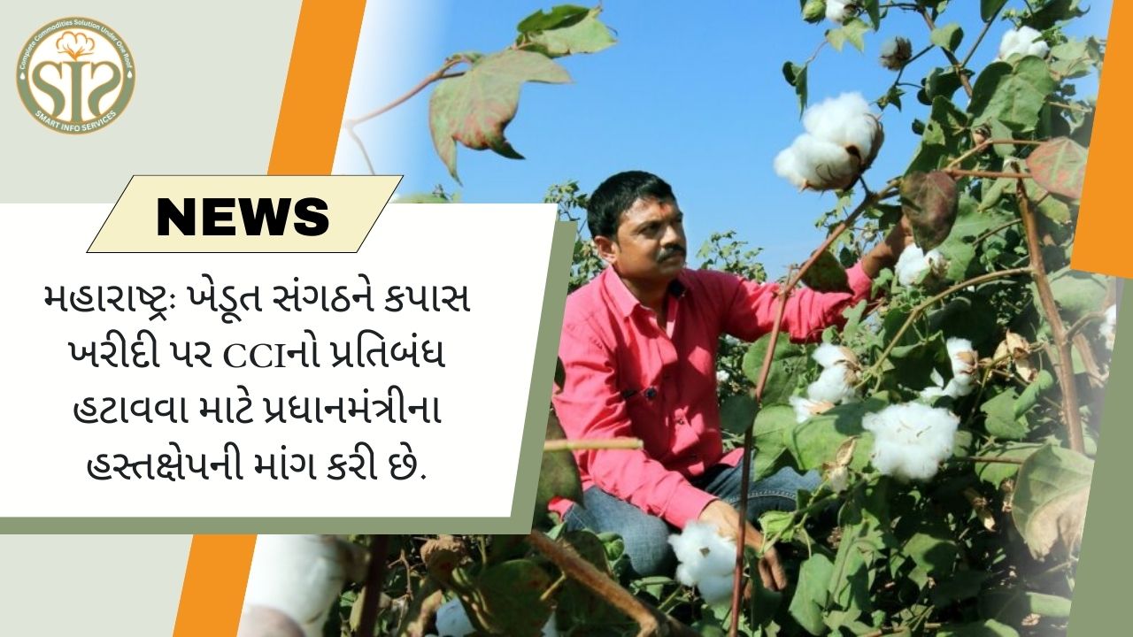 "કપાસ ખરીદી પર પ્રતિબંધ મુકવા માટે ખેડૂતોએ પ્રધાનમંત્રીને અપીલ કરી"