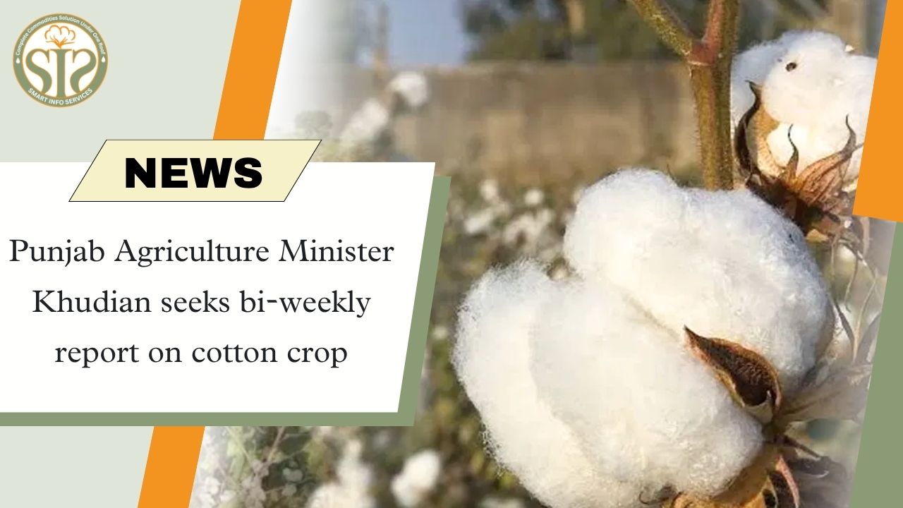 Agriculture Minister Khudian: Asked for bi-weekly report on cotton