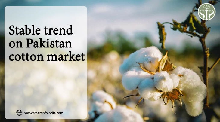 Stable trend on Pakistan cotton market