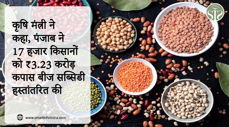 कृषि मंत्री ने कहा, पंजाब ने 17 हजार किसानों को ₹3.23 करोड़ कपास बीज सब्सिडी हस्तांतरित की