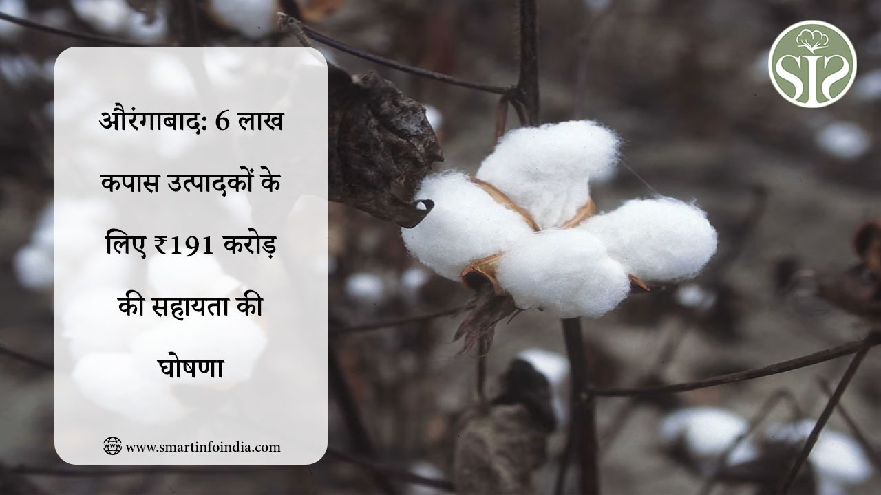 औरंगाबाद: 6 लाख कपास उत्पादकों के लिए ₹191 करोड़ की सहायता की घोषणा
