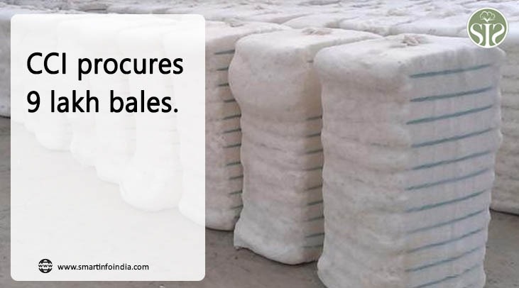 CCI purchased 9 lakh bales.