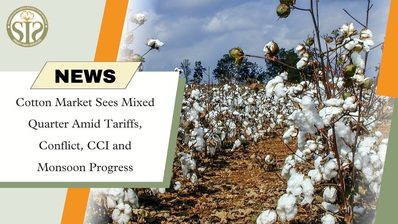 Tariff and monsoon changed the course of cotton