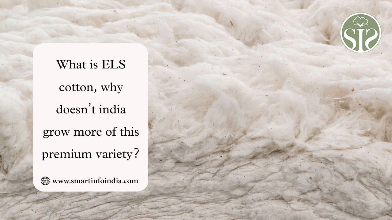 *What is ELS cotton, why doesn’t india grow more of this premium variety?*