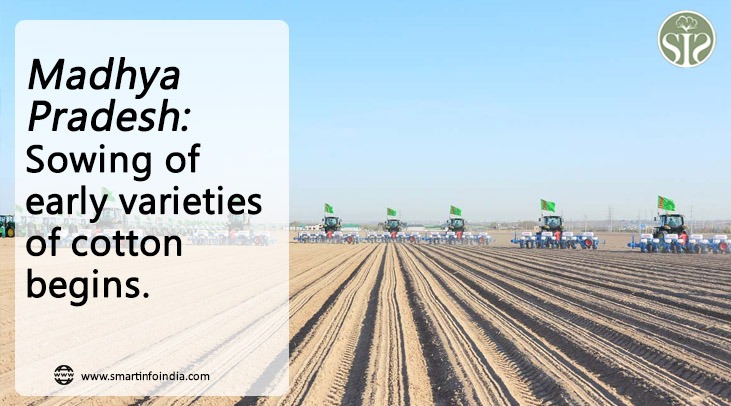 Madhya Pradesh: Sowing of earlier varieties of cotton begins