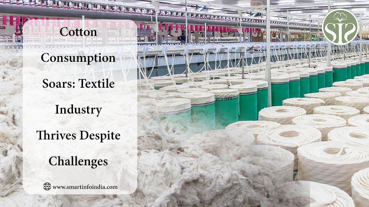 Cotton Consumption Soars: Textile Industry Thrives Despite Challenges