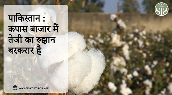 पाकिस्तान कपास बाजार में तेजी का रुझान बरकरार है