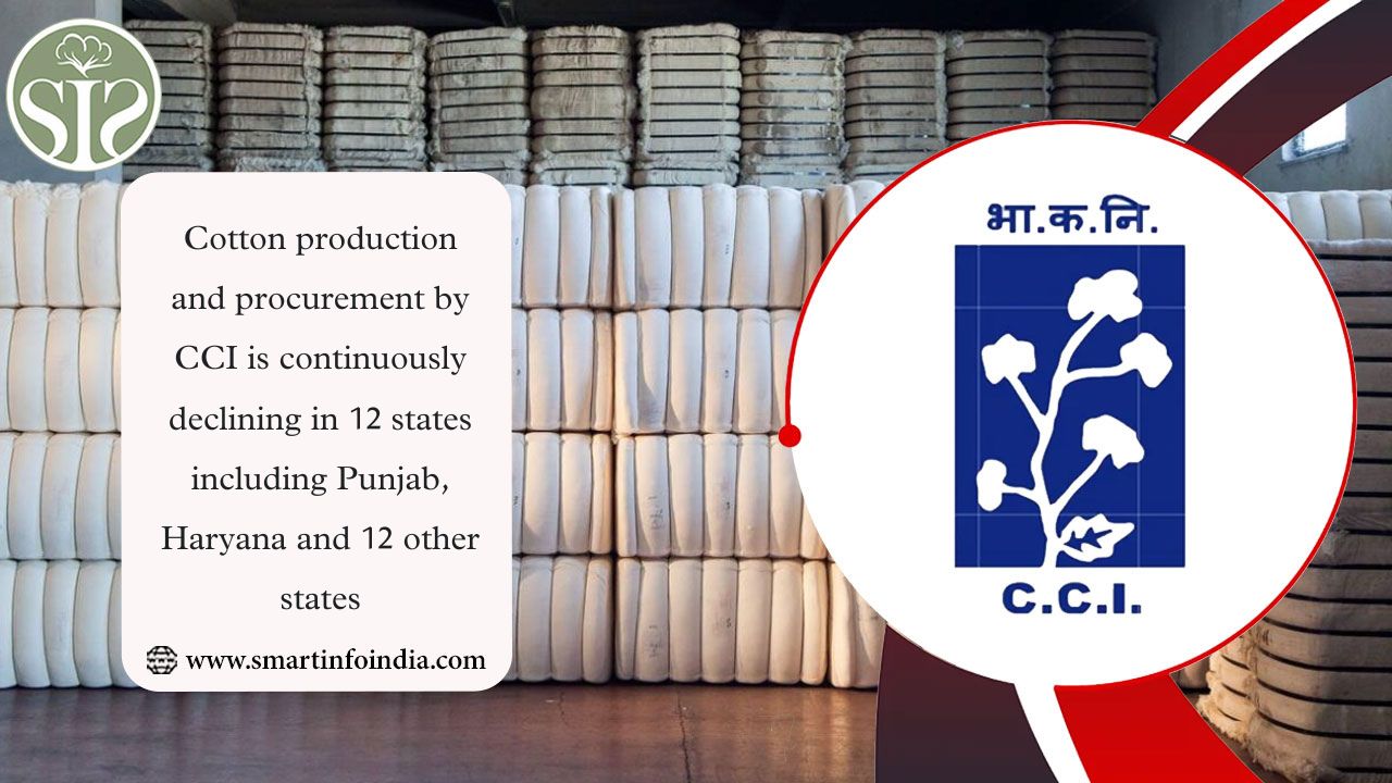 Declining Cotton Production and Procurement by CCI in Punjab, Haryana, and 10 Other States