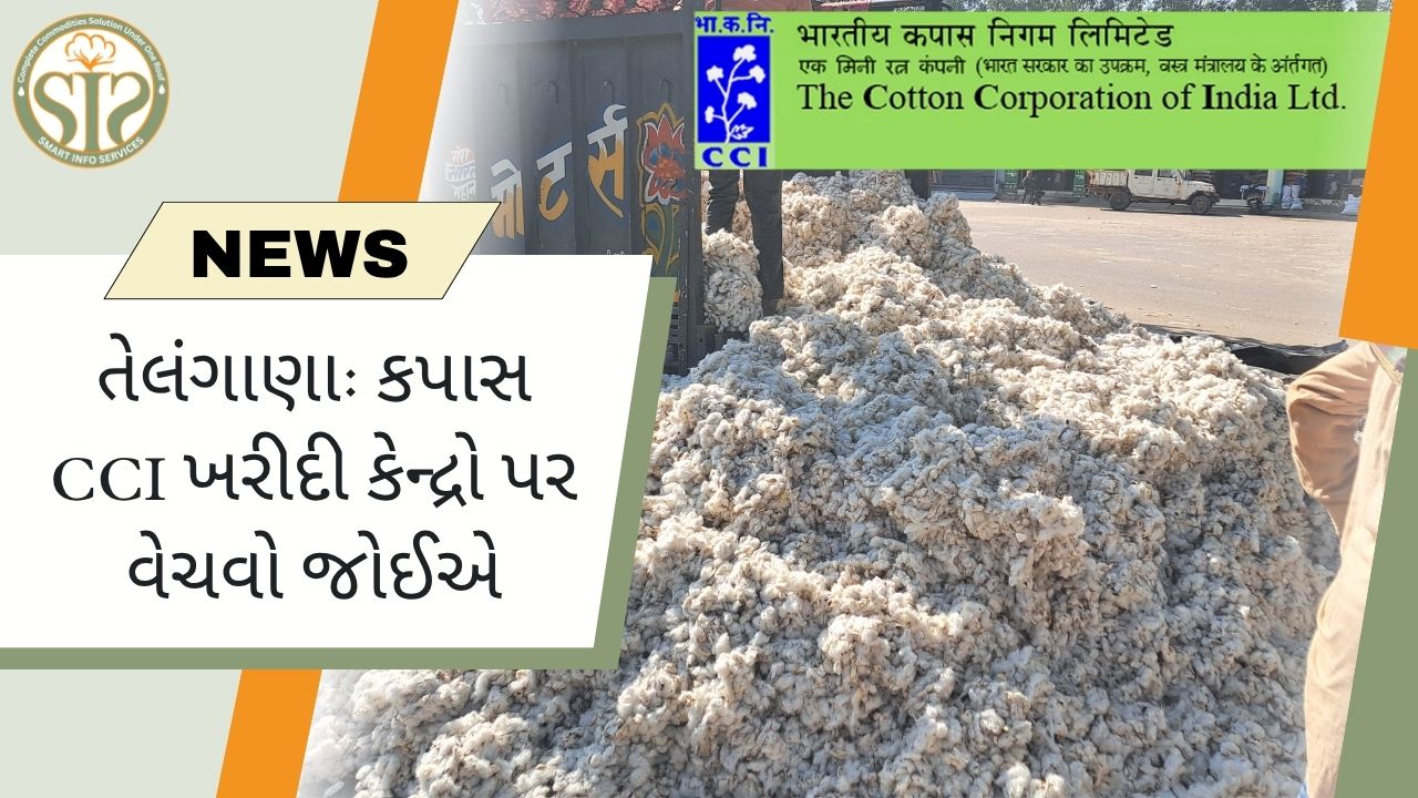તેલંગાણા: CCI કેન્દ્રો પર કપાસનું વેચાણ શરૂ થયું