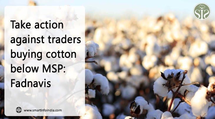 *Take action against traders buying cotton below MSP: Fadnavis*