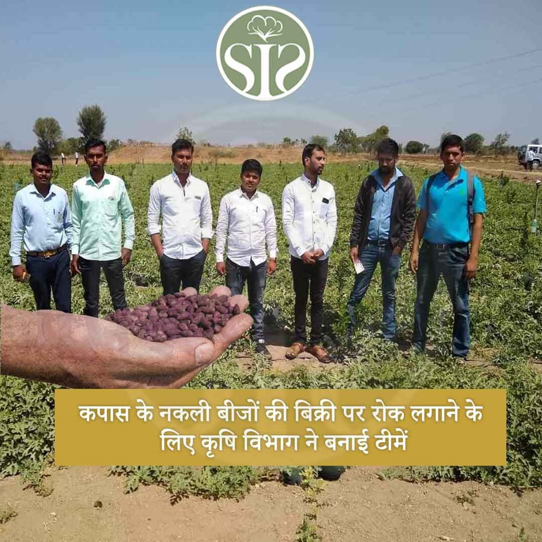 Agriculture Department formed teams to stop the sale of spurious cotton seeds