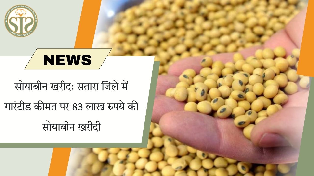 सतारा में गारंटीड भाव से 83 लाख रु. की सोयाबीन खरीदी