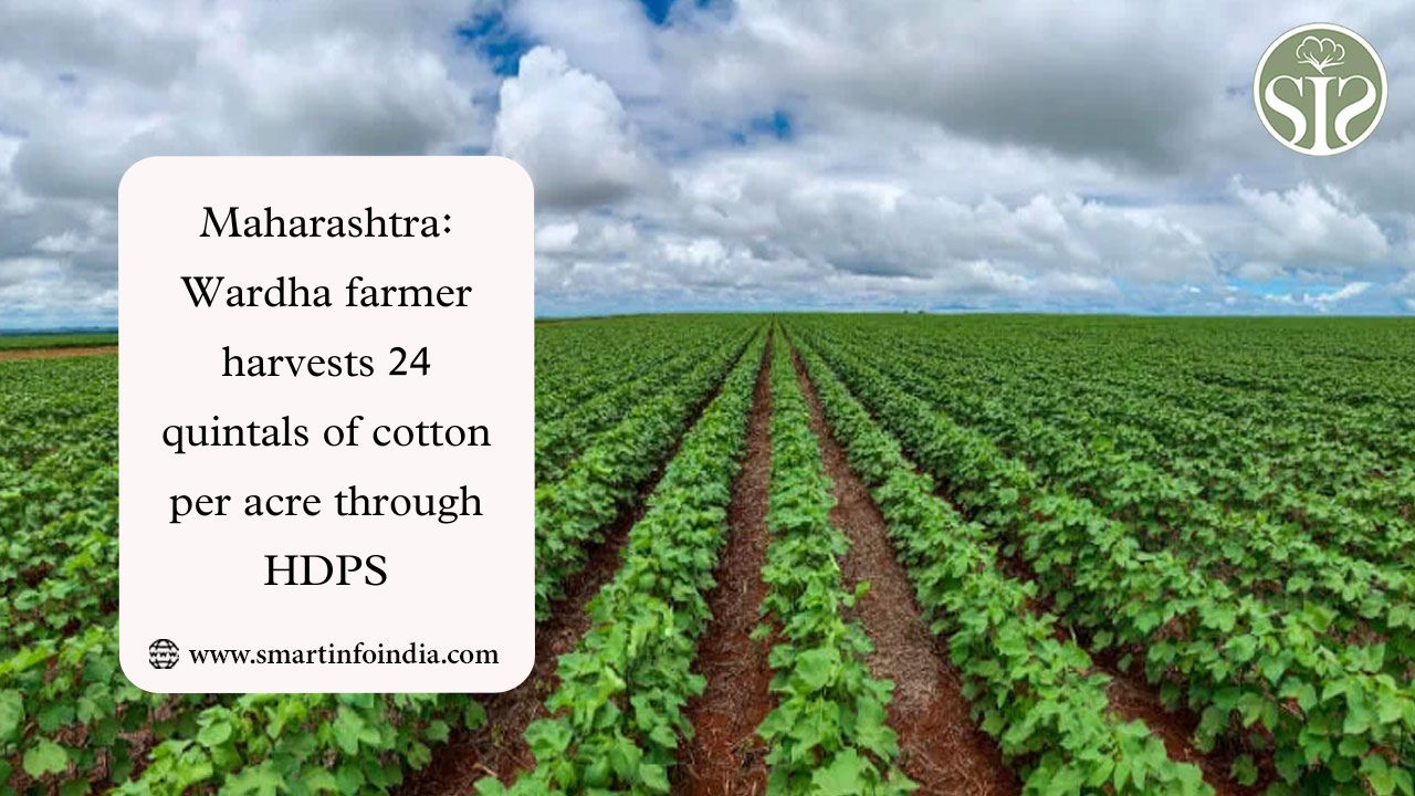 Maharashtra: Wardha farmer harvests 24 quintals of cotton per acre through HDPS