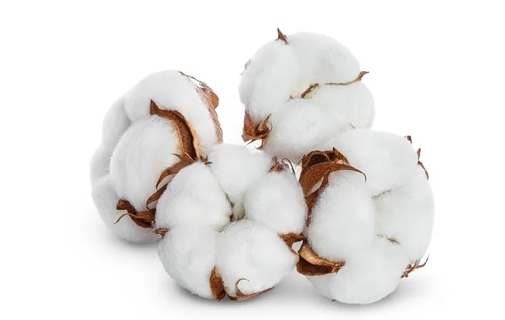 Slow trading in Pakistan's cotton market