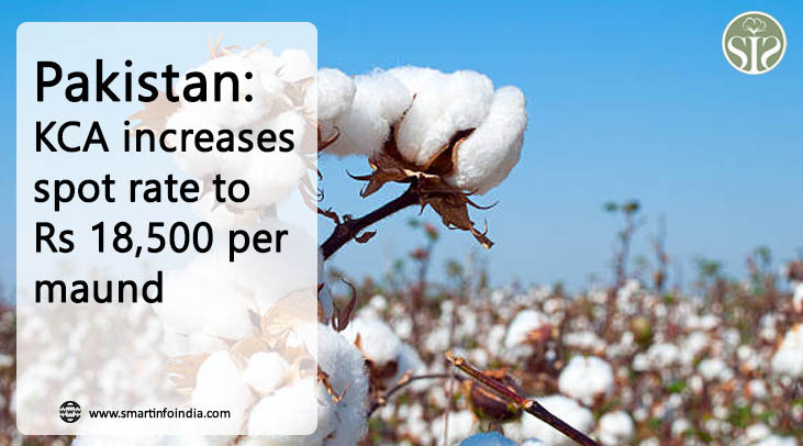 Pakistan: KCA increases spot rate to Rs 18,500 per maund