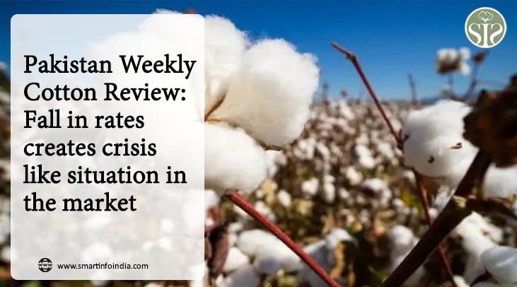 Pakistan Weekly Cotton Review: Fall in rates creates crisis like situation in the market