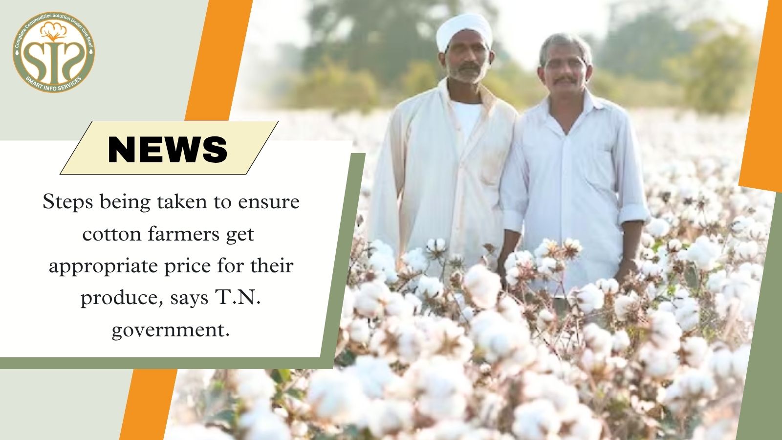 Tamilnadu Plans Fair Pricing for Cotton Yield