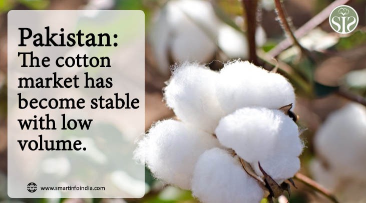 Pakistan: Cotton market remains stable with low volumes