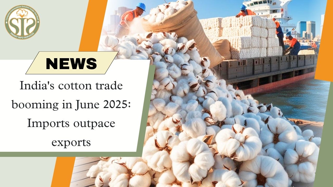 India’s Cotton Trade Sees Strong Momentum in June 2025: Imports Outpace Exports
