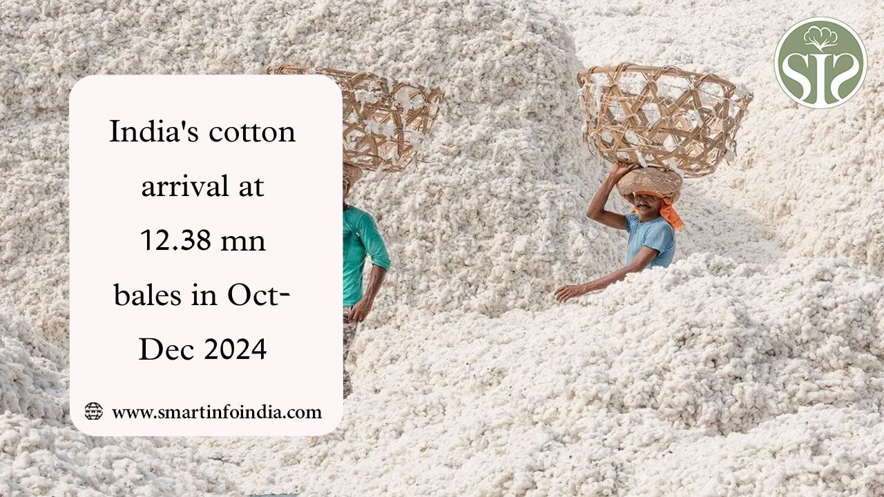 Cotton arrivals in India stood at 12.38 million bales in October-December 2024