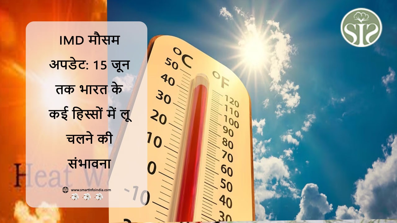 IMD मौसम अपडेट: 15 जून तक भारत के कई हिस्सों में लू चलने की संभावना