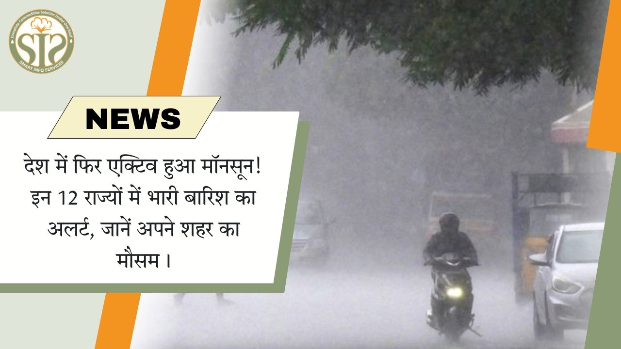 मॉनसून फिर हुआ सक्रिय, 12 राज्यों में भारी बारिश का अलर्ट!