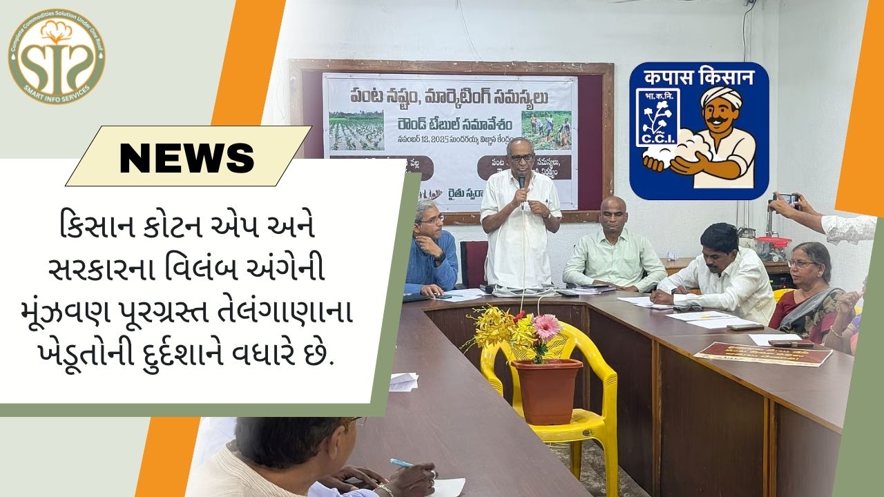 તેલંગાણામાં કપાસ એપ્લિકેશન અને સરકારી વિલંબ ખેડૂતોની મુશ્કેલીઓમાં વધારો કરે છે