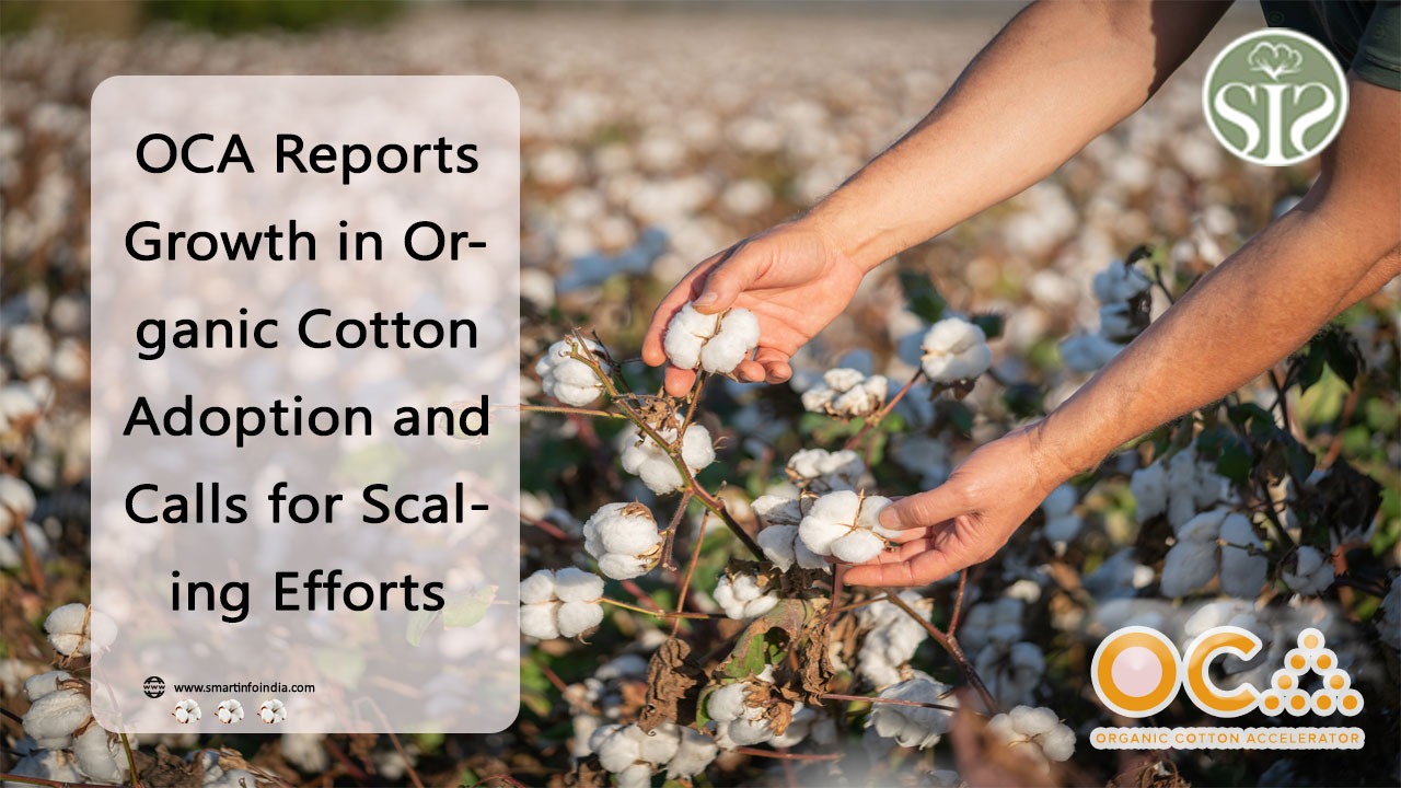 OCA Reports Growth in Organic Cotton Adoption and Calls for Scaling Efforts