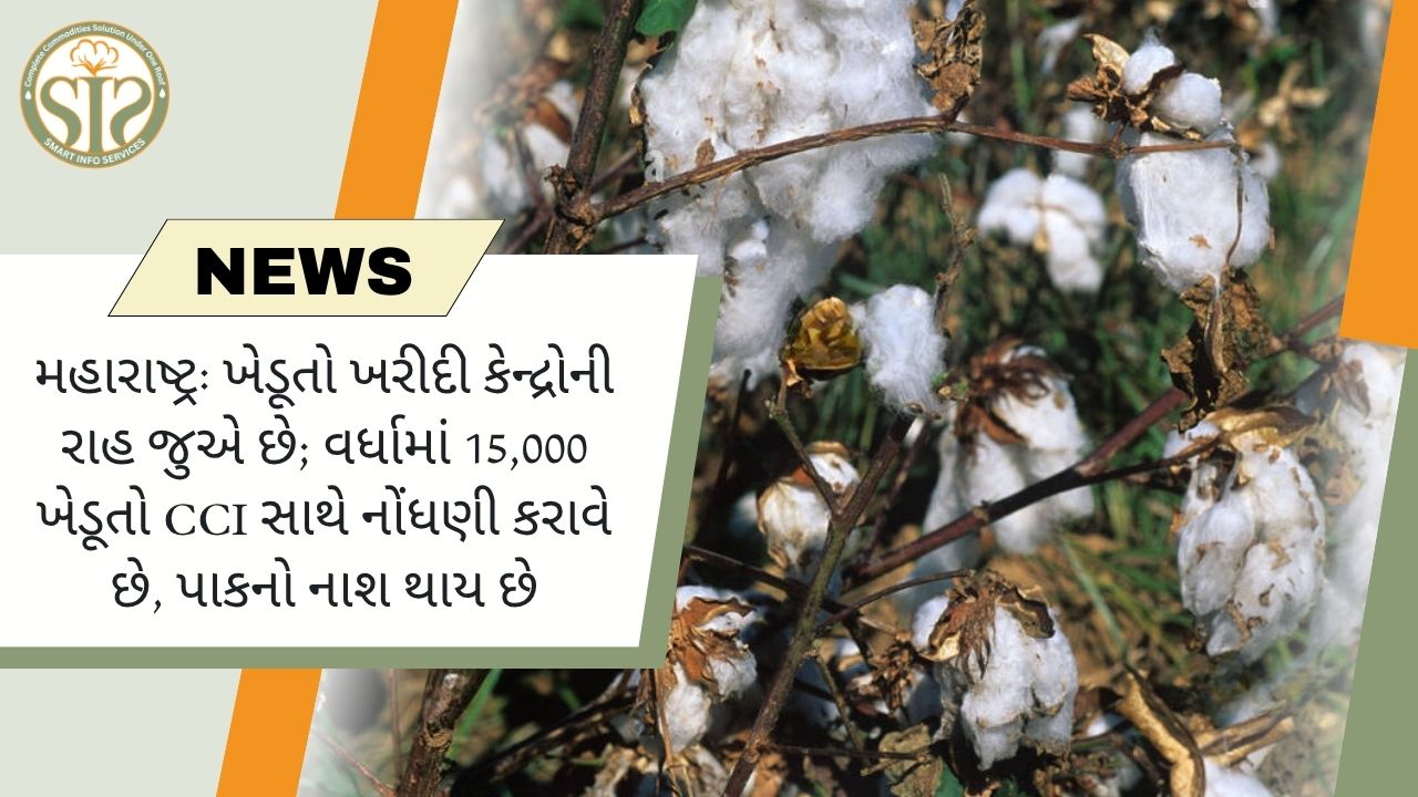 เชตเชฐเซเชงเชพ: เชเซเชกเซเชคเซ เชเชฐเซเชฆเซ เชเซเชจเซเชฆเซเชฐเซเชจเซ เชฐเชพเชน เชเซเช เชฐเชนเซเชฏเชพ เชเซ, CCI เชฎเชพเช 15,000 เชจเซเชเชงเชพเชฏเซเชฒเชพ เชเซ