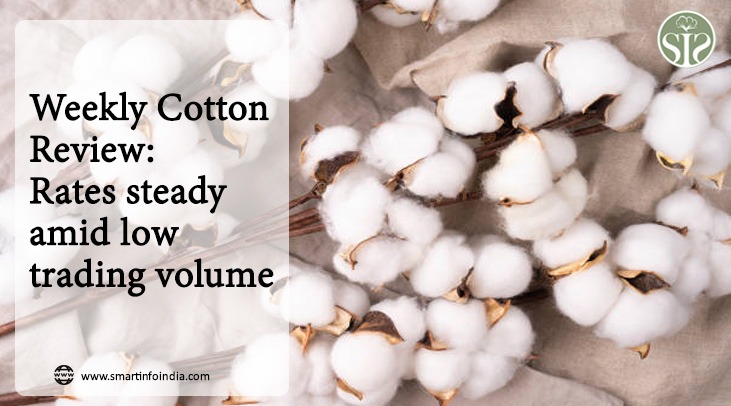 Weekly Cotton Review: Rates steady amid low trading volumes