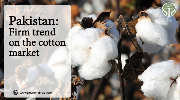 Pakistan: Firm trend on the cotton market