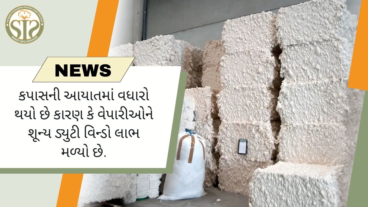 શૂન્ય ડ્યુટી વિન્ડોમાંથી કપાસની આયાતમાં તીવ્ર ઉછાળો