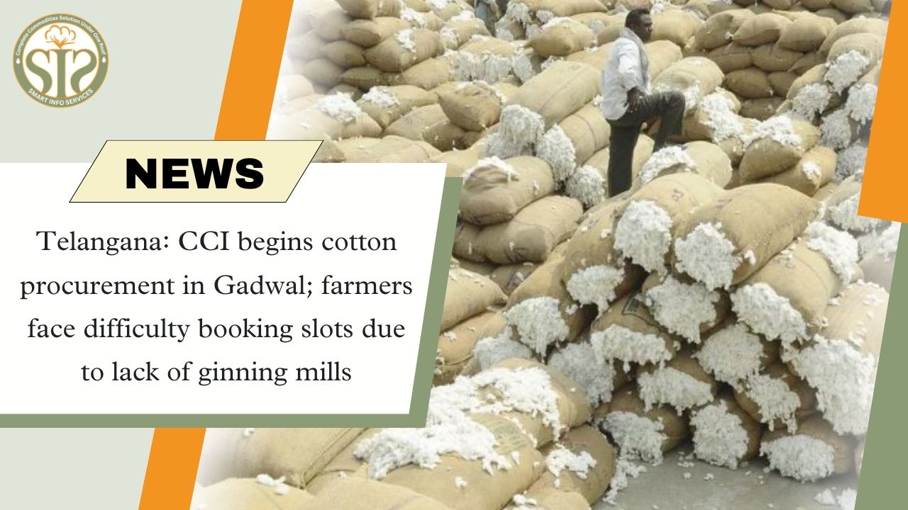 CCI begins cotton procurement in Gadwal, problems in slot booking