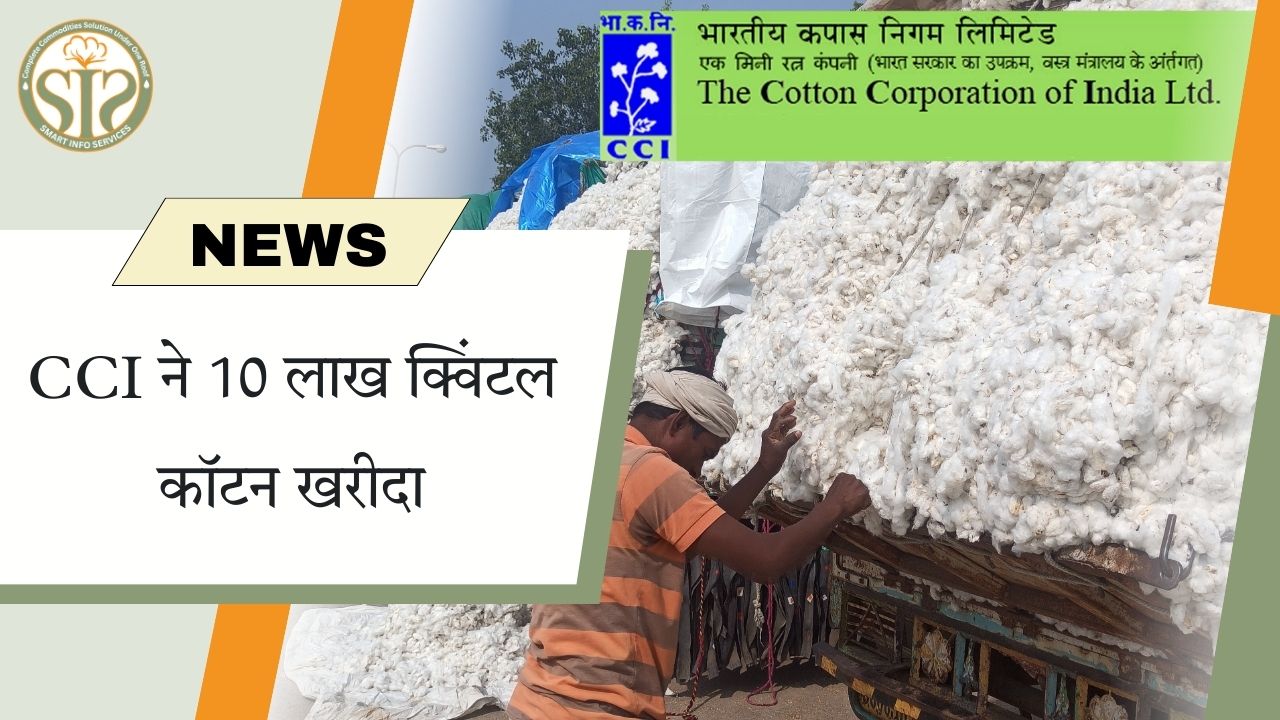CCI : कपास खरीद आंकड़ा 10 लाख क्विंटल पहुंचा