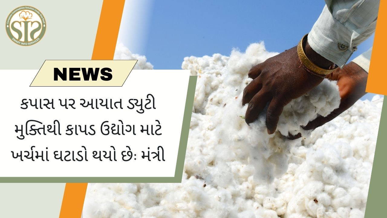 કપાસ પર આયાત ડ્યુટી મુક્તિથી કાપડ ઉદ્યોગ માટે ખર્ચમાં ઘટાડો થયો છે: મંત્રી