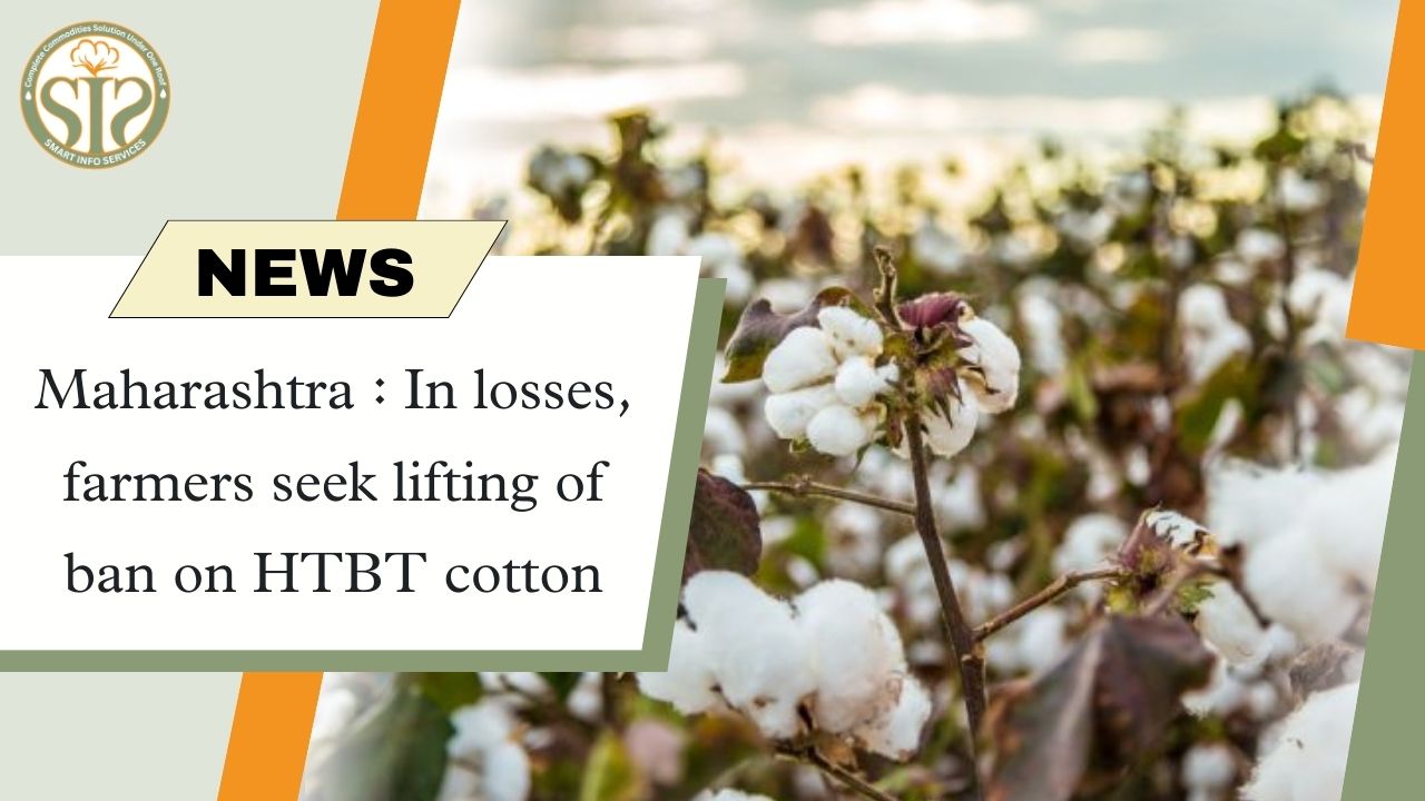 Farmers in Maharashtra demand lifting of ban on HTBT cotton