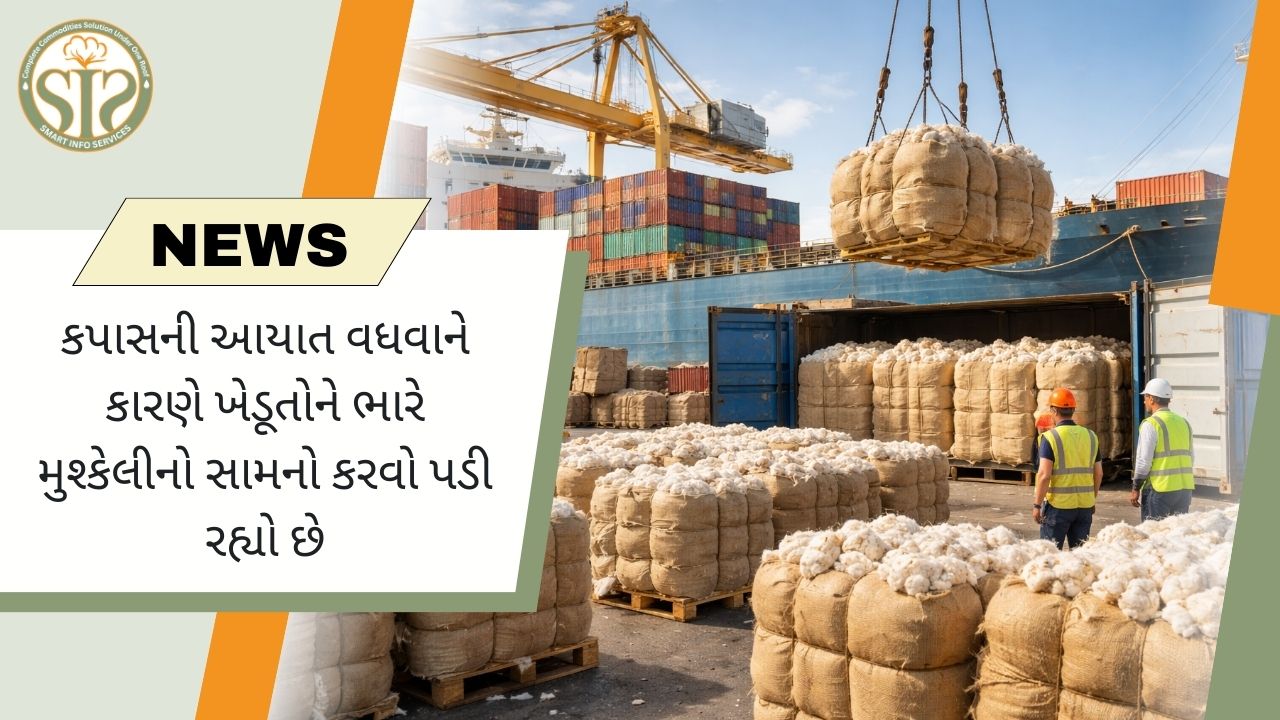 કપાસની આયાત વધવાથી ખેડૂતો મુશ્કેલીમાં મુકાયા છે