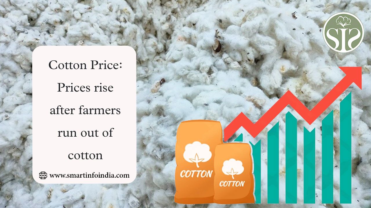 Farmers Run Out of Cotton, Prices Spike