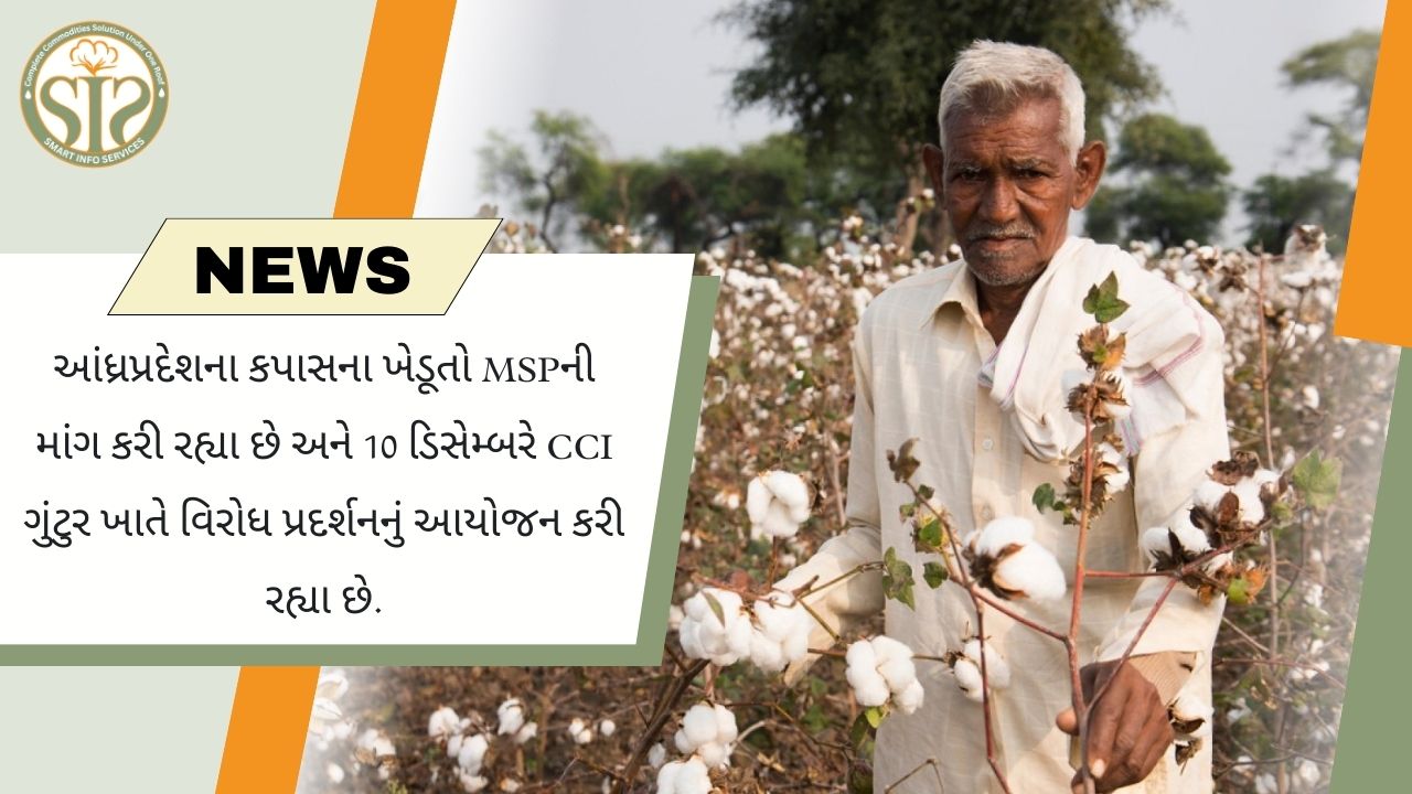 ૧૦ ડિસેમ્બરે ગુંટુરમાં કપાસના ખેડૂતો MSP સામે વિરોધ પ્રદર્શન કરશે