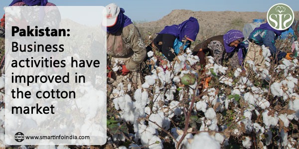 Pakistan: Business activities have improved in the cotton market