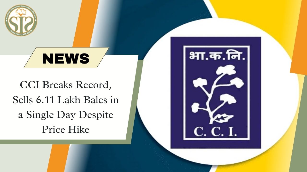 CCI Hits Record: 6.11 Lakh Bales Sold in a Day