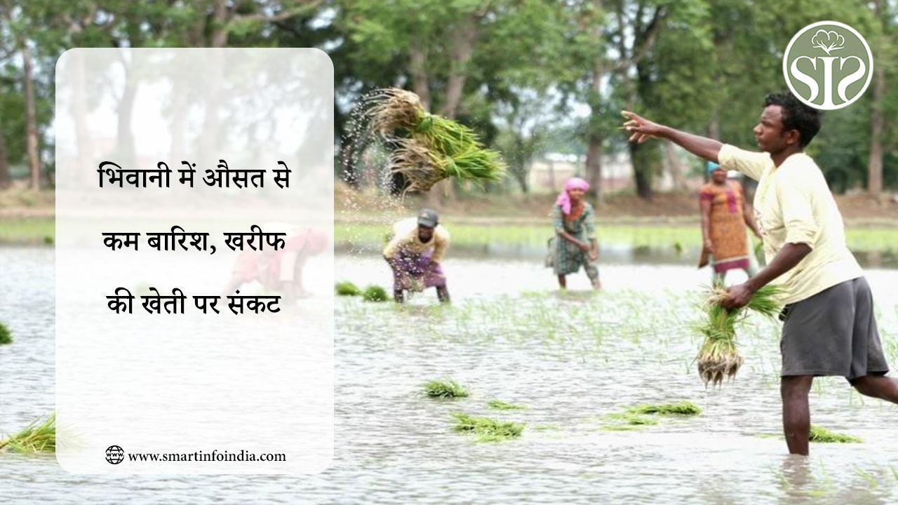 भिवानी में औसत से कम बारिश, खरीफ की खेती पर संकट